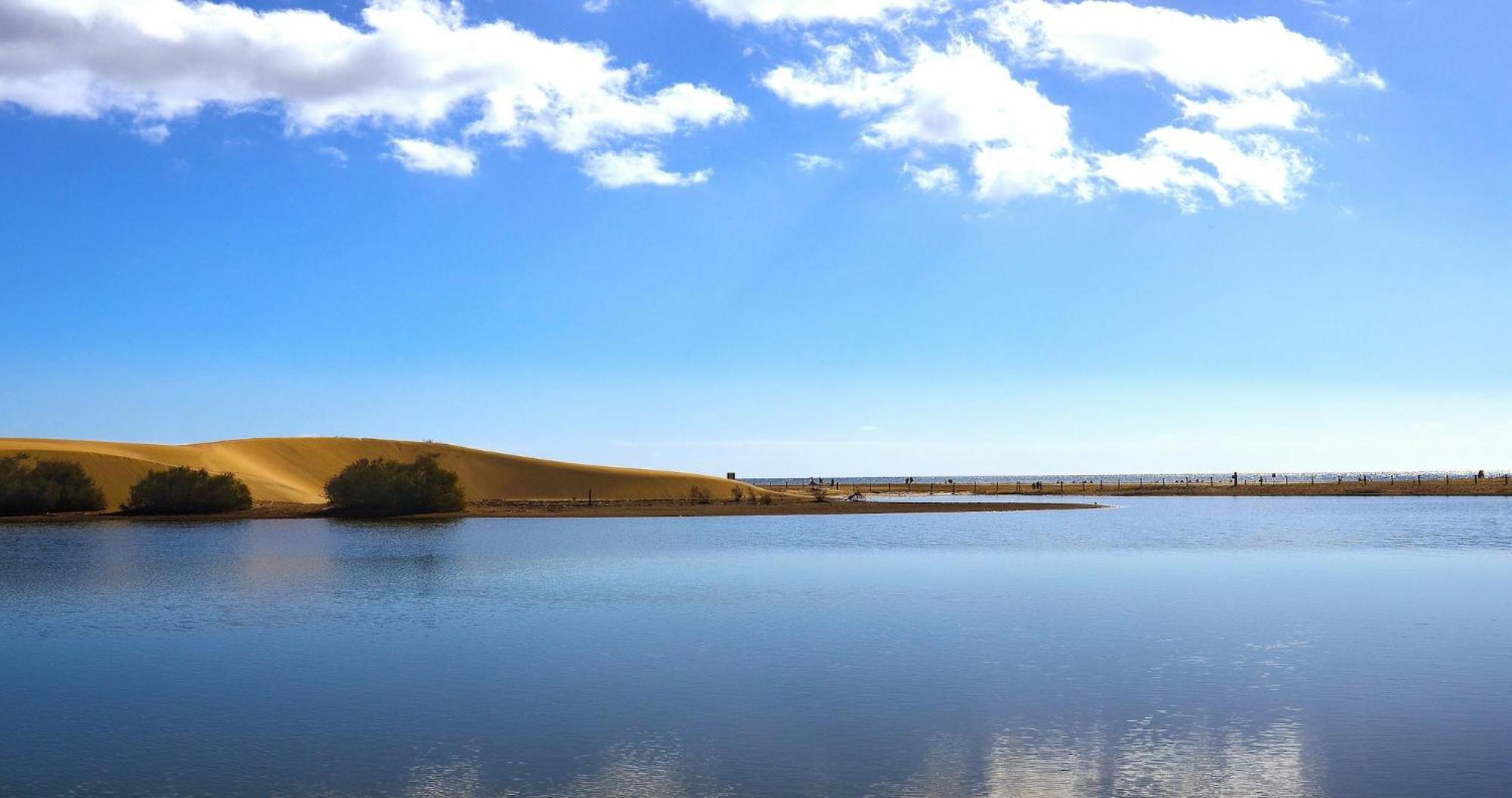 Dunaoasis Maspalomas マスパロマス エクステリア 写真