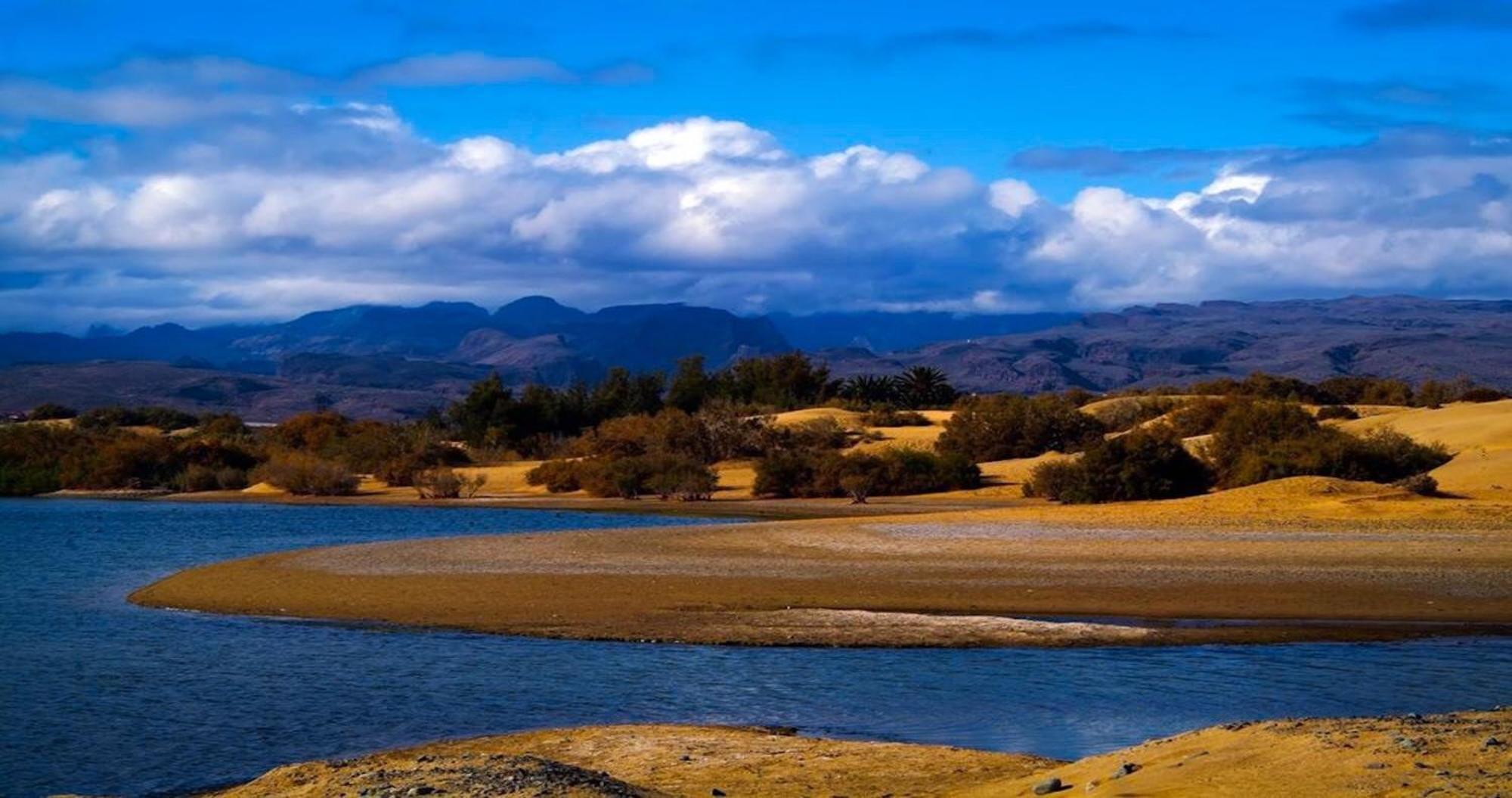 Dunaoasis Maspalomas マスパロマス エクステリア 写真